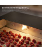 Дегидратор Meyvel MDH12-2S (Чёрный)