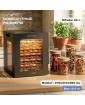 Дегидратор Meyvel MDH12-2S (Чёрный)
